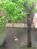 Děčín