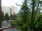Borovina