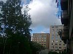 Borovina