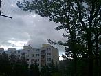 Borovina
