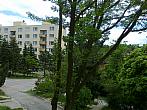 Borovina