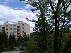 Borovina