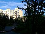 Borovina