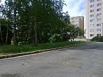 Borovina