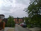 Borovina