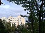 Borovina