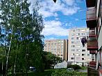 Borovina