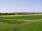 Dobromilice