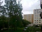 Borovina