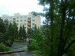 Borovina