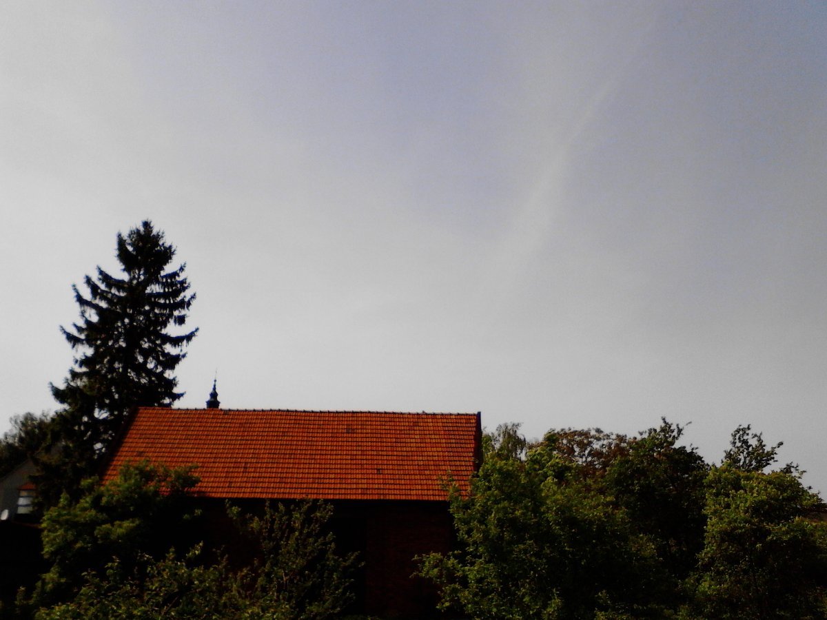 Kvasice