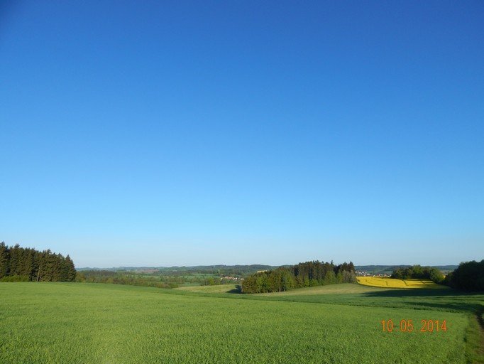 Zajíčkov