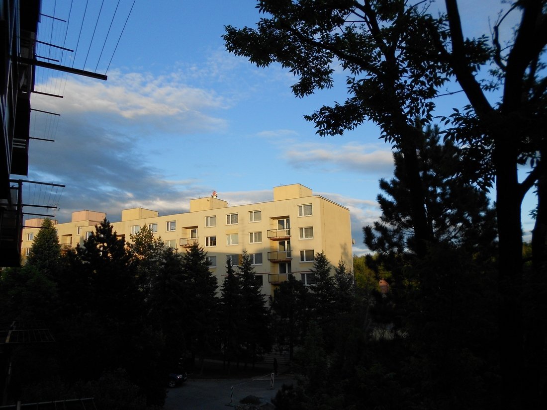 Borovina
