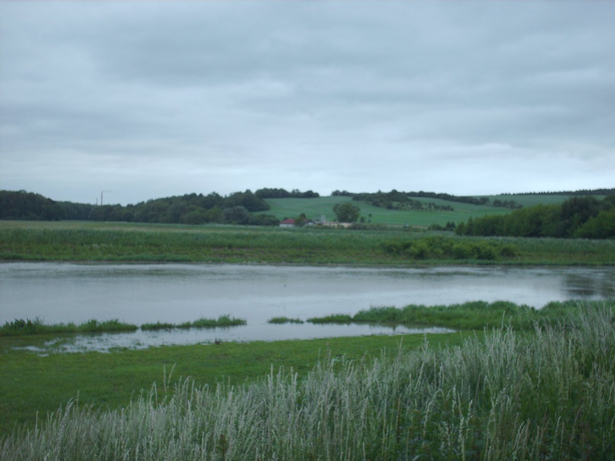 Kvasice