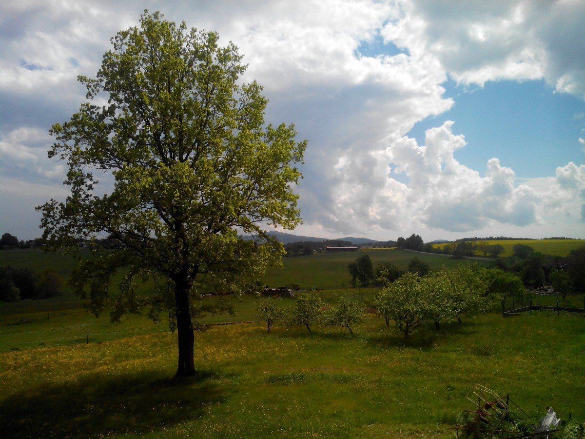 Todně