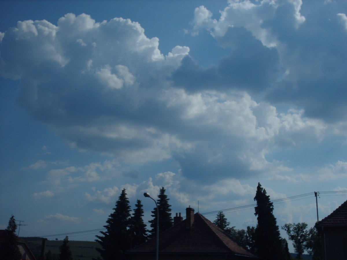 Kvasice