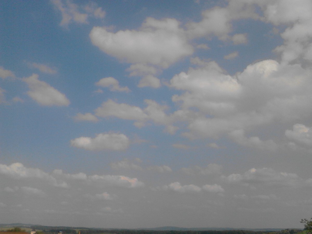 Kvasice
