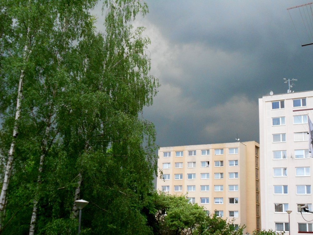 Borovina