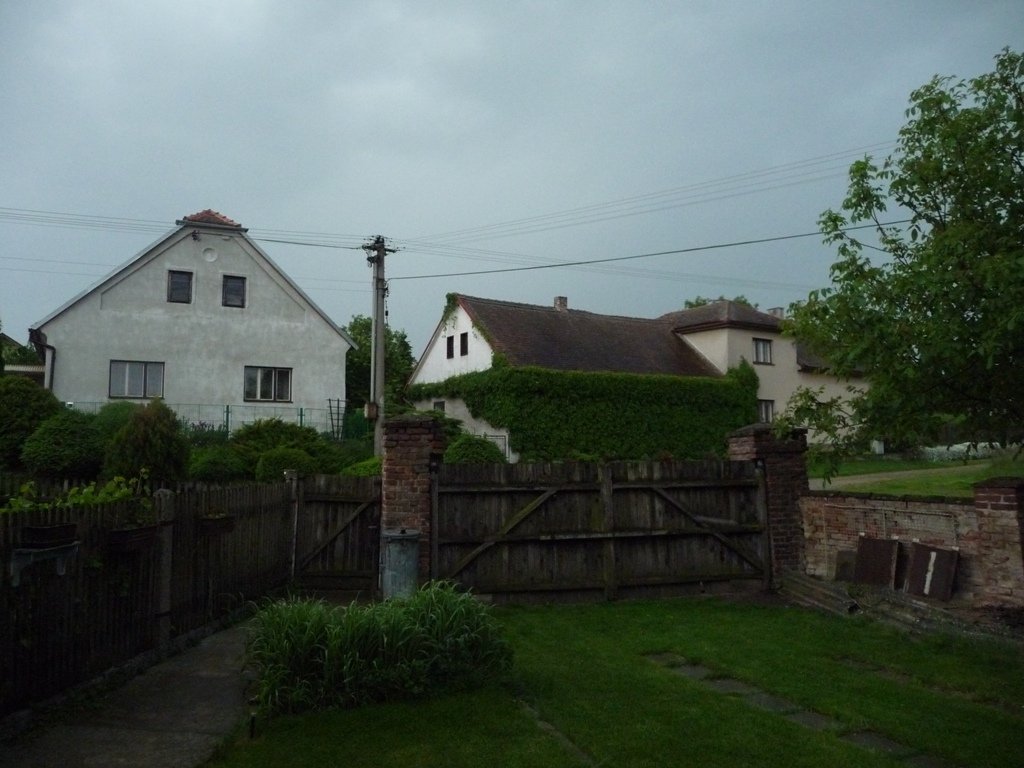 Třibřichy