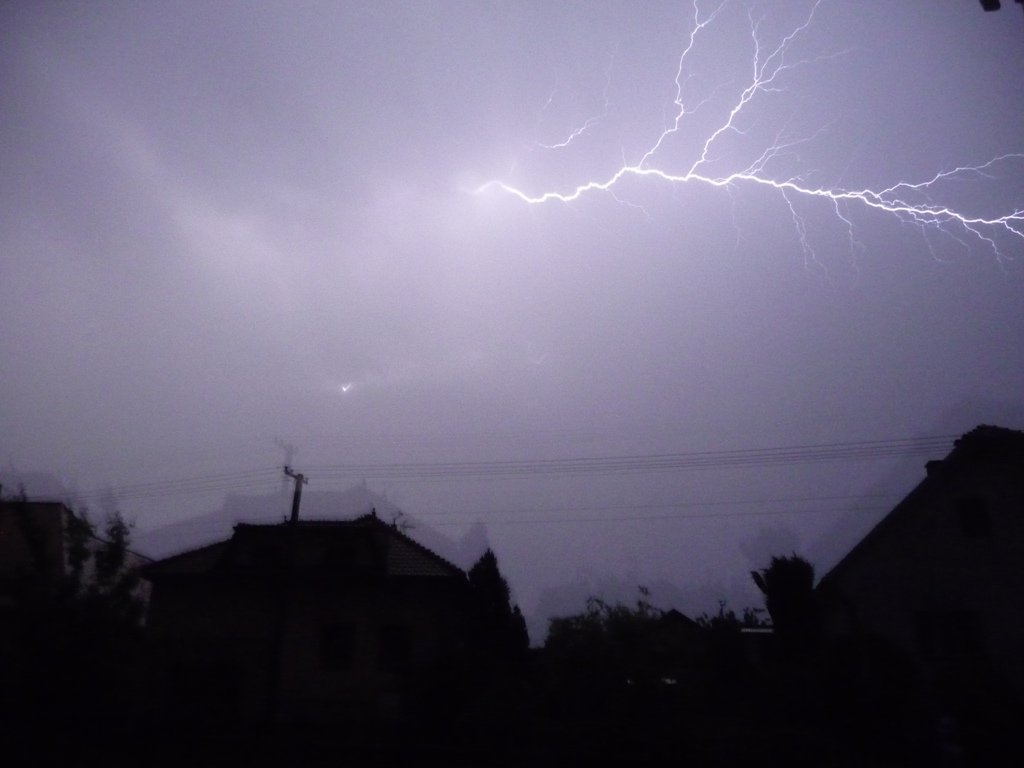 Třibřichy