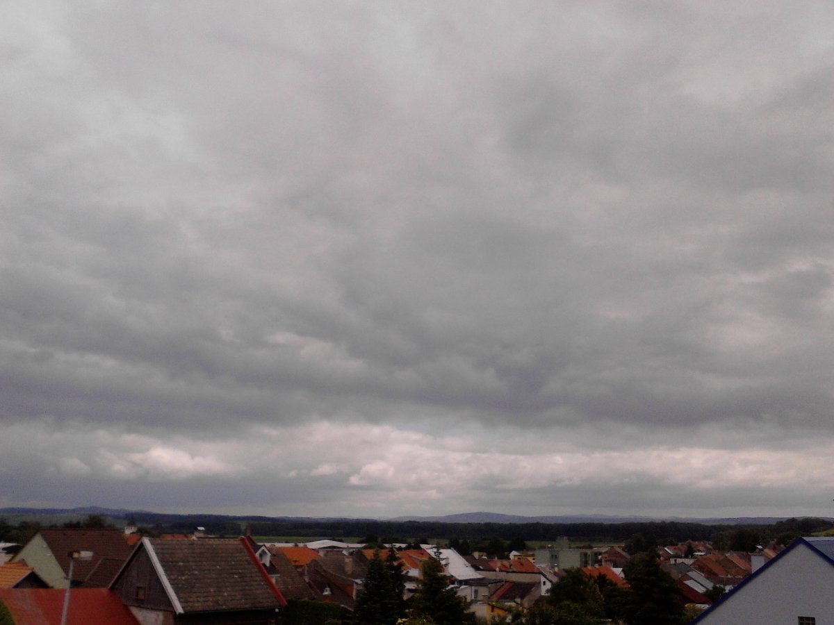 Kvasice
