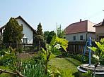 Třibřichy