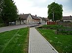 Třibřichy