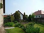 Třibřichy