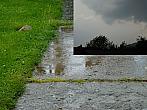 Třemošnice