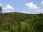 Borovina