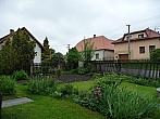 Třibřichy