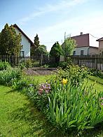Třibřichy