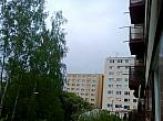 Borovina