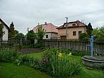 Třibřichy