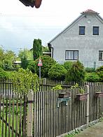 Třibřichy