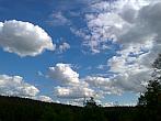 Borovina