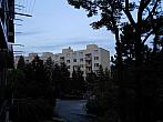 Borovina