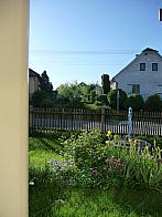 Třibřichy