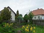 Třibřichy