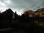 Třibřichy
