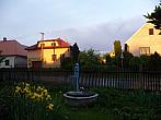 Třibřichy