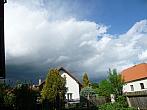 Třibřichy