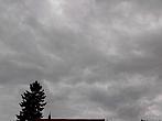 Kvasice