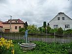 Třibřichy