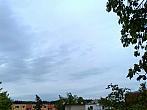 Borovina