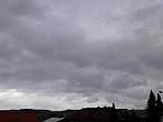 Kvasice