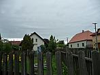 Třibřichy