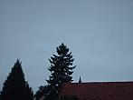Kvasice