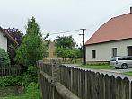 Třibřichy