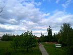 Borovina
